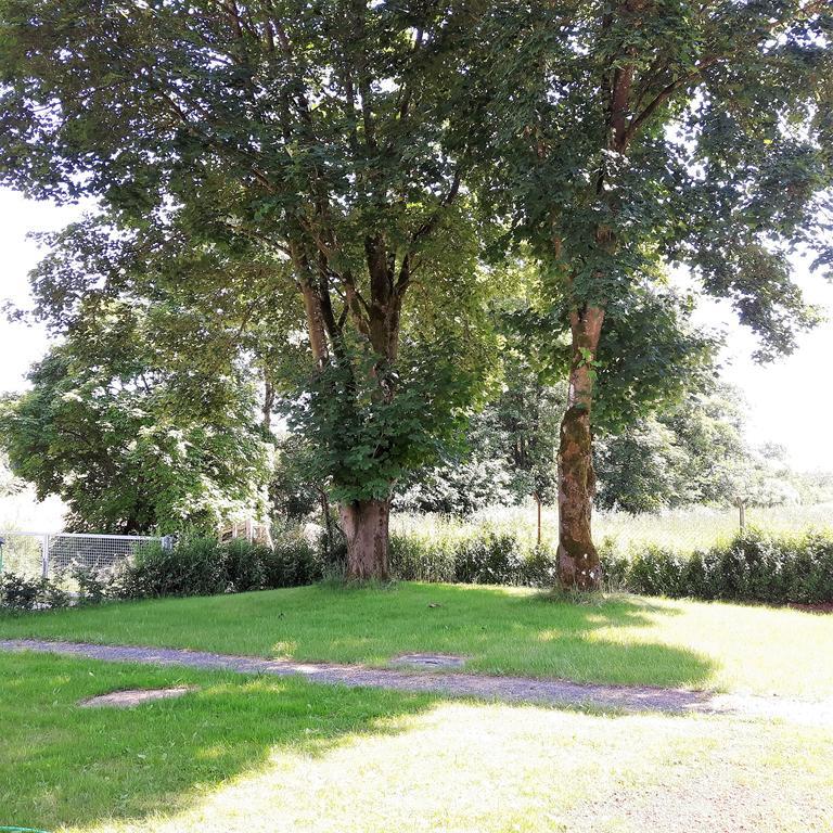 Landferien Eifel Apartment Pittenbach ภายนอก รูปภาพ