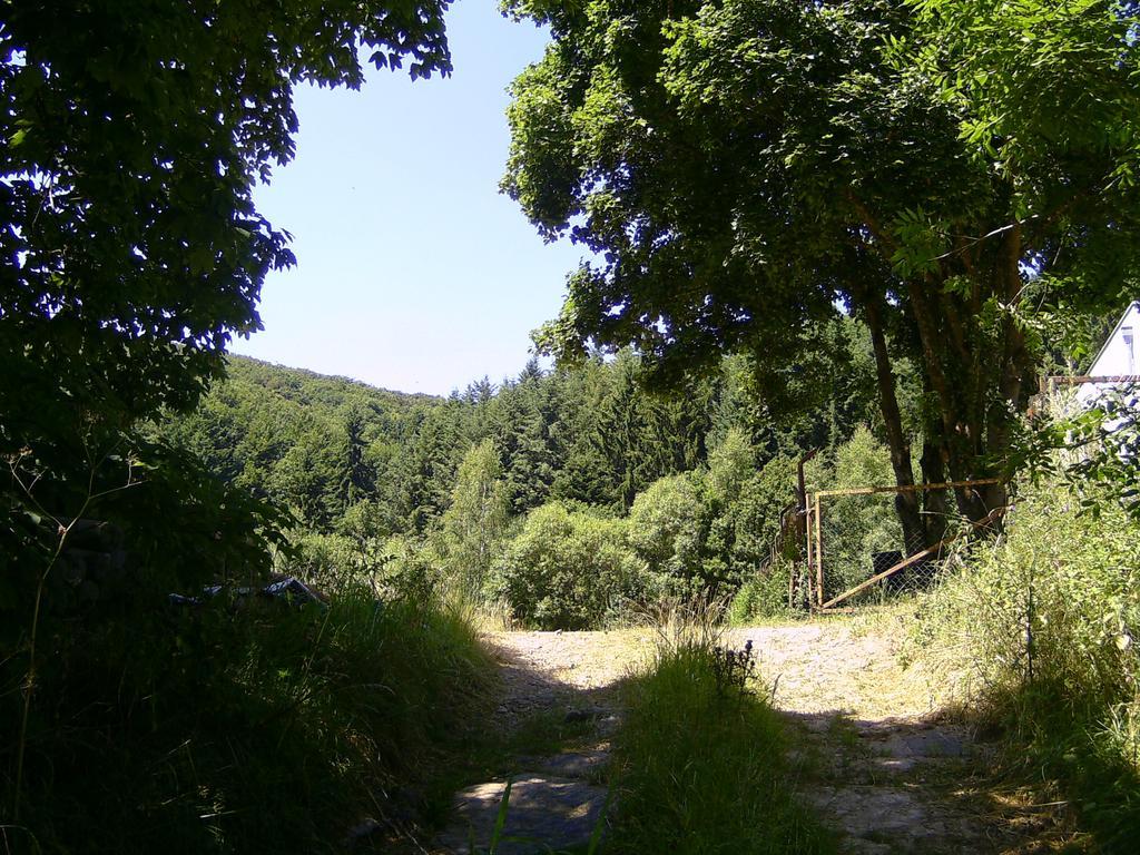 Landferien Eifel Apartment Pittenbach ภายนอก รูปภาพ